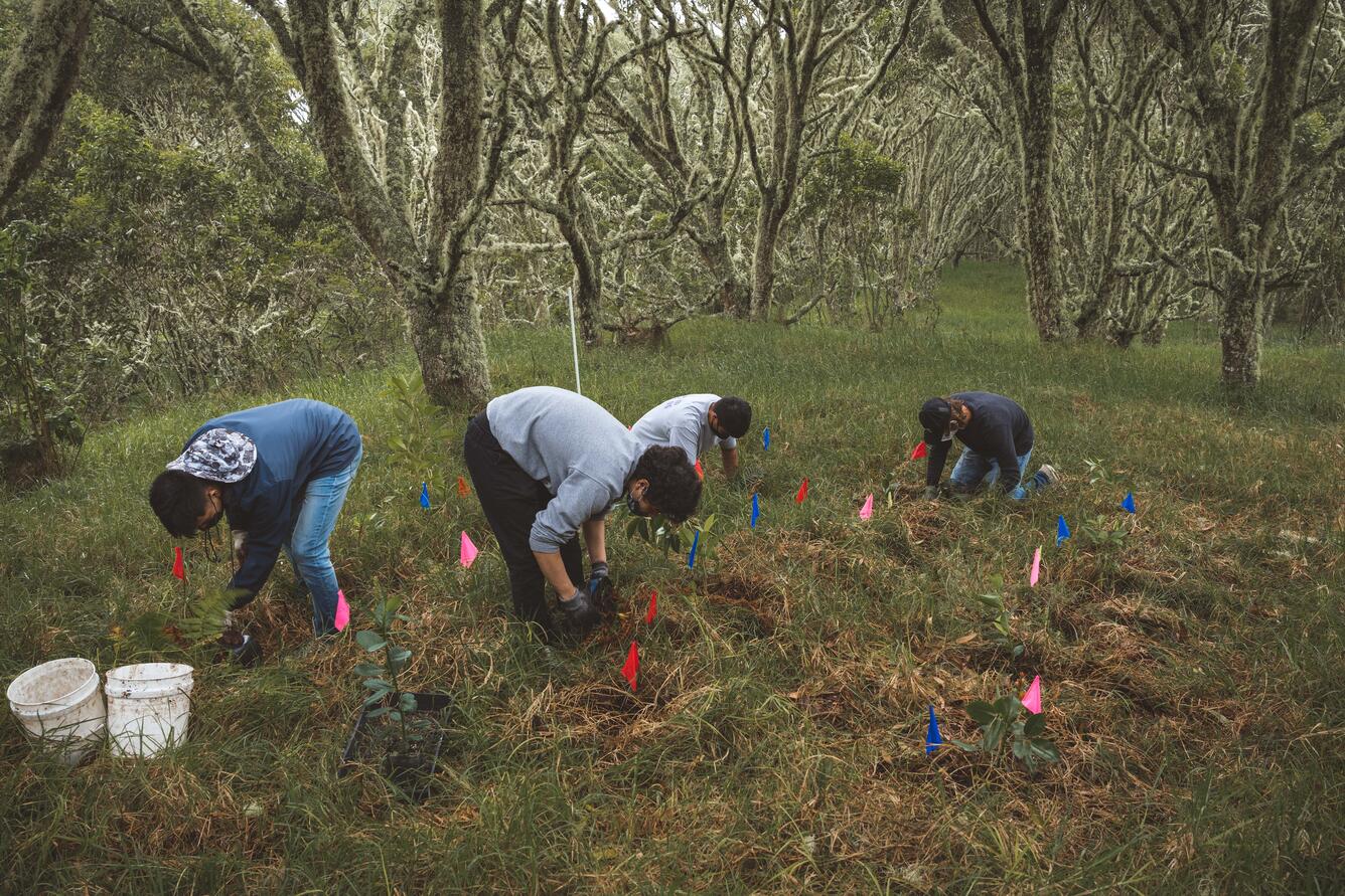 U.S. Geological Survey and U.S. Fish and Wildlife Service: A
